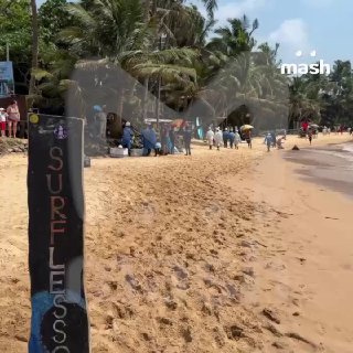 Мазут дошёл до популярного пляжа Хиккадува на Шри-Ланке — из-за взрыва танкера под флагом Маршалловых островов.Российские туристы рассказали Mash, что в курортном районе спецы борются с выбросом нефтепродуктов. Говорят, прилив произошёл после ударов иранск