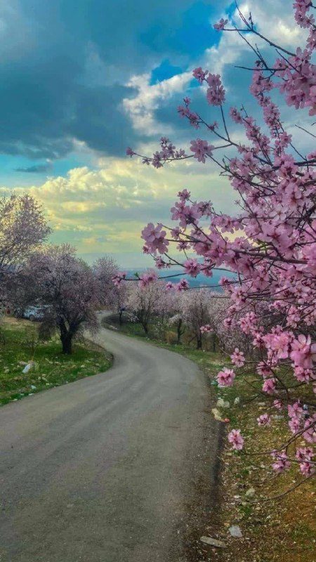 شیروان من: .. سپاس خدایی را که آسمانها و زمین را آفرید. 🌸🍃سلام بر صبحی که خدا پیش از بیدار شدنِ ما، هزاران نعمت را در آن چیده است؛