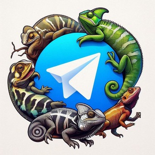 Granjacamaleon -Todo sobre Reptiles 🦎 Telegram Group Link