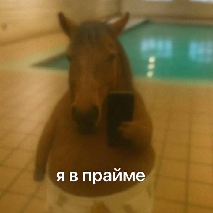 Перлы: رسانه پست