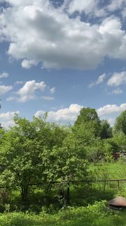 Зимой я иногда не очень понимаю- зачем мне вообще нужен участок, кроме как для скопления снега, но летом