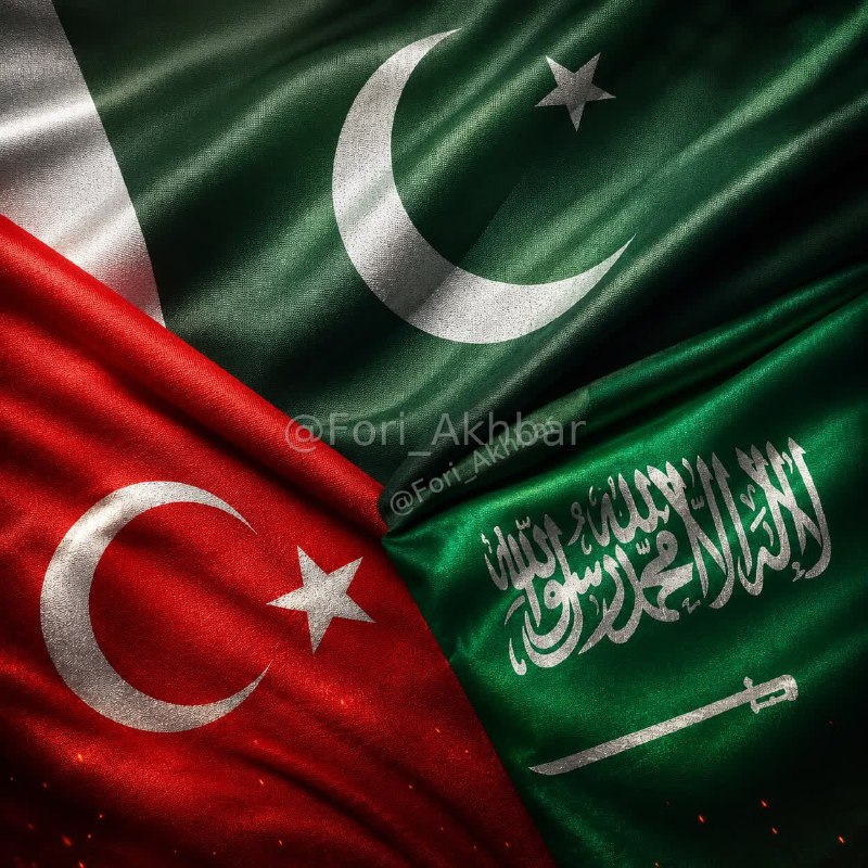 اخبار فوری ایران و جهان: 🇪🇬 🇮🇩 🇮🇱 🇯🇴 🇵🇰 🇶🇦 🇸🇦 🇹🇷 🇦🇪ترکیه، مصر، اندونزی، اردن، پاکستان، قطر، عربستان سعودی و امارات متحده عربی در بیانیهای مشترک