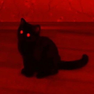 𝐑𝐃𝐍𝐎 | 𝐒𝐀𝐋𝐄 𝐂𝐇𝐀𝐓