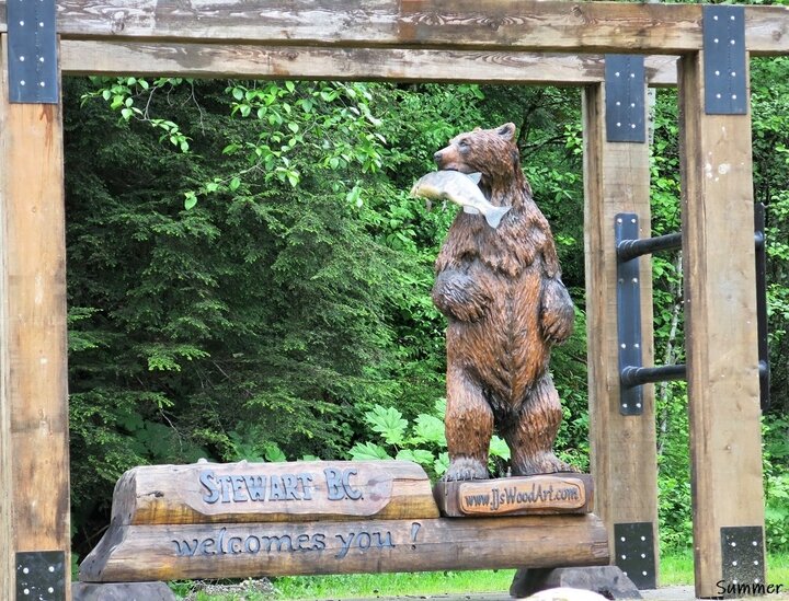 加拿大BC省鮭魚洄游秘境Stewart & 最友善的阿拉斯加鬼城Hyder(看棕熊捕鮭魚)