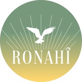 Ronahî - Youth Center for Public Relations