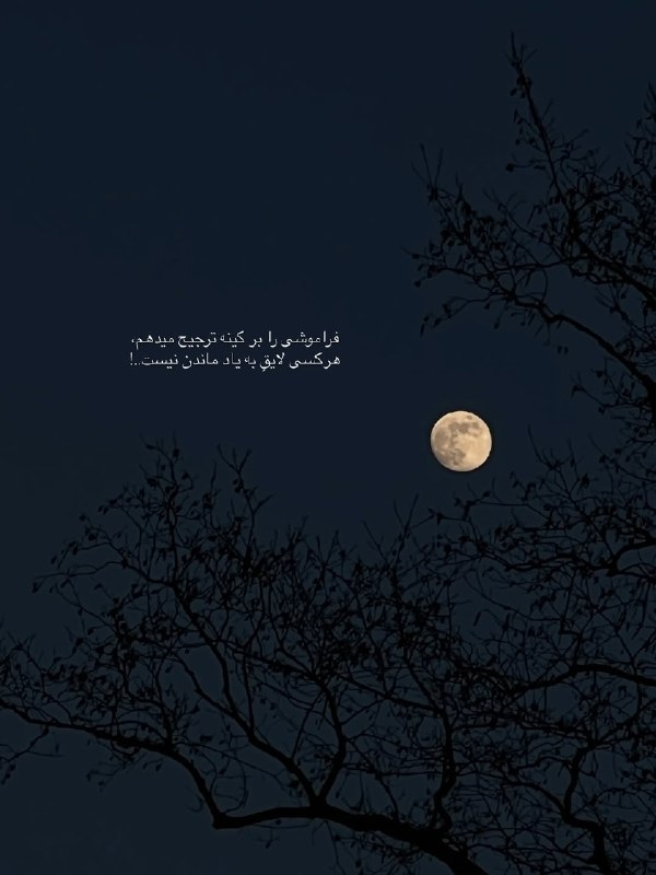 ژلوفن | gelofen: هرکسی لایقِ به یاد ماندن نیست!@gelofen | ژلـــوفـن