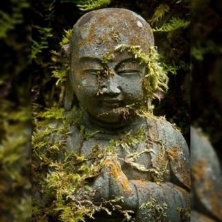 I Buddisti Telegram Group Link