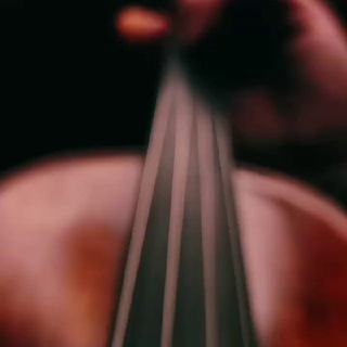 🎵گنجه ی موسیقی🎼 Telegram Group Link