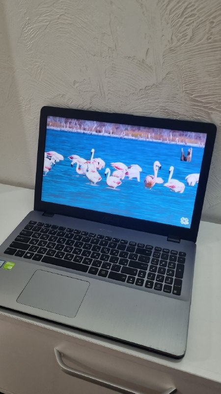 Продам шустрый ноутбук Asus R542 — фото 1