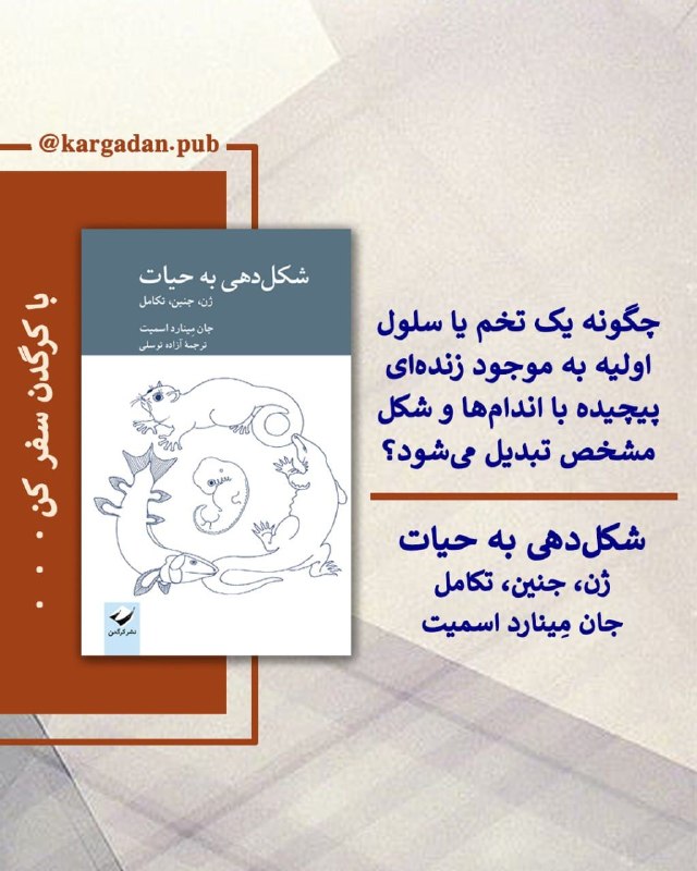 نشر کرگدن: 📚 معرفی و پیشنهاد کتابشکلدهی به حیاتژن، جنین، تکاملجان مِینارد اسمیتترجمۀ آزاده توسلیمجموعۀ مطالعات تکامل/ دبیر: محمدرض
