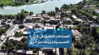 שטחים ירוקים בכפר אל-חוסייניה באזור הכפרי דיר א-זור.