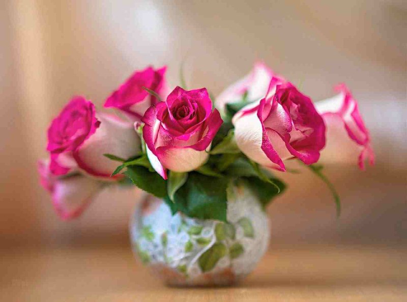 🌸 زندگے جاریست 🌸: ✍از همراهـــــے و حضـور یڪایڪ شما عزیزان بے نهایت سپاسگزارم. 🌸🌸🍃🌸 @zendegijarist2