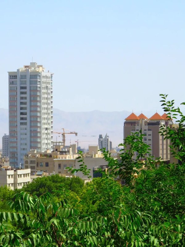 اجتماعی مشهد: 🔸تا حالا مشهد رو از این زاویه دیده بودین؟😍 @mashhad_plus🔸تا حالا مشهد رو از این زاویه دیده بودین؟😍 @mashhad_plus