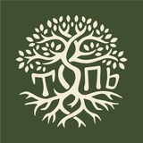 🌱 ТОПЬ