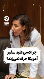 🎥 Criticism of the Lebanese parliamentarian from the government: why does no one speak against the American ambassador?