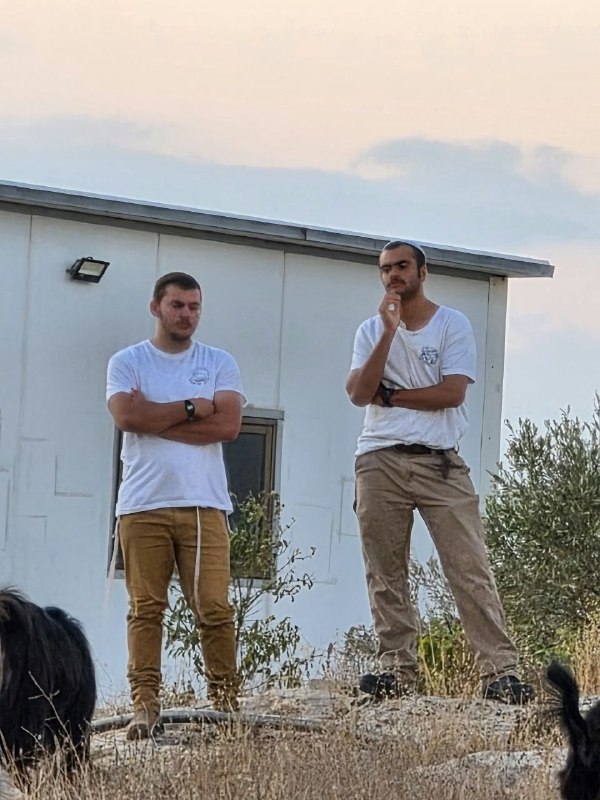 מתנחלים משחררים את משק החי שלהם לאדמות פלסטיניות באזור "עקבה", מזרחית לטיאסיר, מזרחית לטובאס.