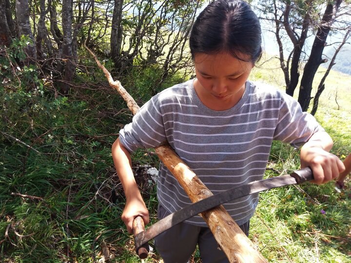 旅行教會我們的五個新技能