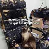 Аттракцион невиданной графомании