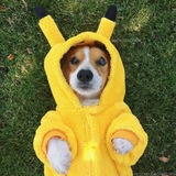 Telegram profile photo for LUCKY BOBO CONFESSION