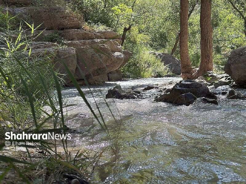 آب و هوای مشهد: 🔸طبیعت تابستانی دره شمخال🔹دره شمخال در روستایی کوهپایه ای به همین نام قرار دارد. روستای شمخال بنای تاریخی کهنی ندارد اما