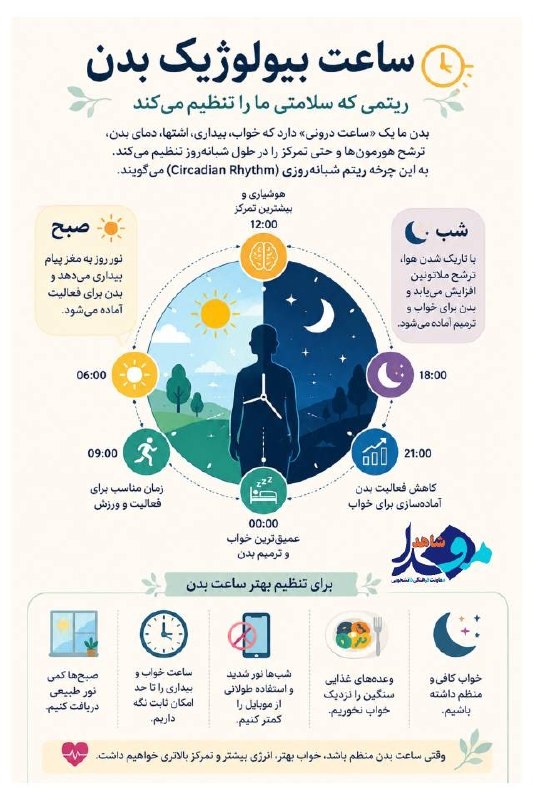 مفدا: ⭕️ ساعت بیولوژیک بدن‌🟢بدن ما یک «ساعت درونی» دارد که خواب، بیداری، اشتها، دمای بدن، ترشح هورمون‌ها و حتی تمرکز را تنظیم 