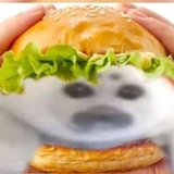Тюленье творчество