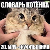 миронннн // пчела