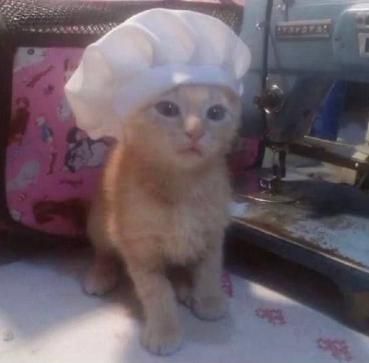 😂زرت نیوز 😂 (پروکسی پرسرعت ): تصورم از خودم بعد از آویشن زدن به نیمرو: