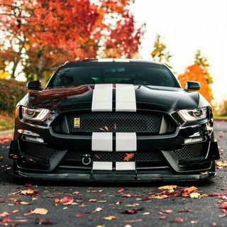 𝕹𝖊𝖜 𝕮𝖆𝖗 𝕻𝖍𝖔𝖙𝖔 Telegram Group Link