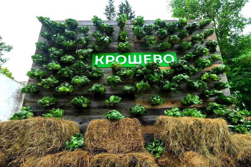 Иллюстрация к посту канала Подходите после обеда