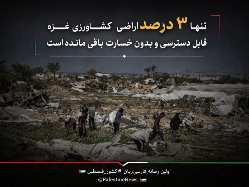 مرکز اطلاعرسانی فلسطین: 🔹فائو: تنها ۳ درصد اراضی کشاورزی غزه قابل دسترسی و بدون خسارت باقی مانده استسازمان خواربار و کشاورزی ملل متحد «فائو» اعل