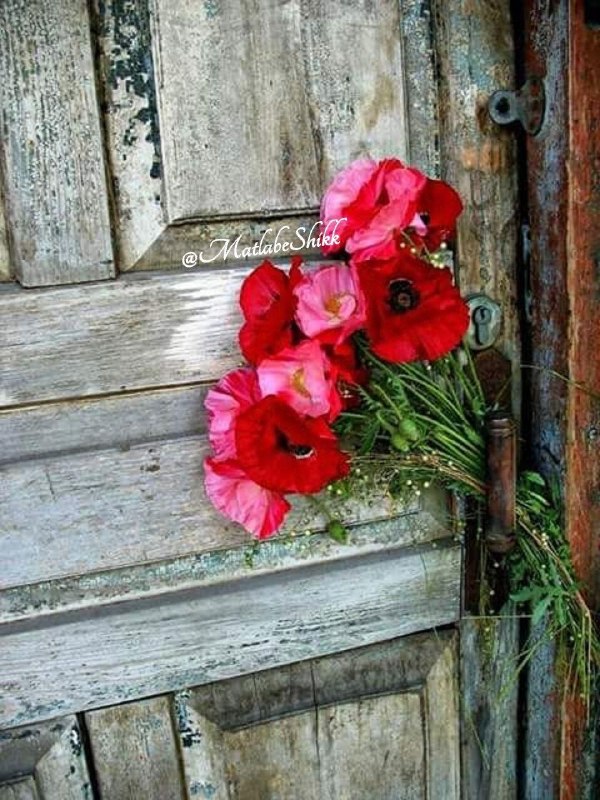 💞پندانه💞: Three things you should never break: promises , trust , and someone’s heart .سه تا چیز رو هیچ وقت نباید شکست :وعده ها ،