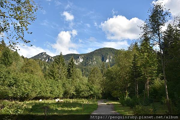 斯洛伐克slovakia｜在山林之中，來一場峽谷冒險 Jánošíkove Diery