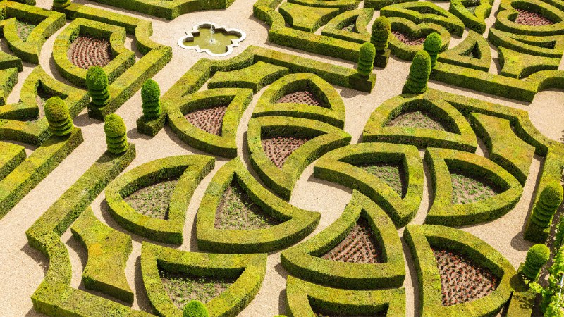 Geometry in bloomFormal garden at Château de Villandry, Loire Valley, France (© Mint Images/Getty Images)