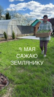 Как здорово всё зазеленело вокруг. Съездили сегодня в сад, увезли часть саженцев, и я посадила 1 грядку земляники, остальное высажу в контейнер. Цв... - изображение 1 - пока, здорово, всё
