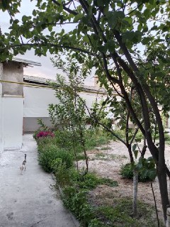 Участка прадайотся! Sergeli Doʻstlik 2. mahalla orqasidegi, hovli joy.