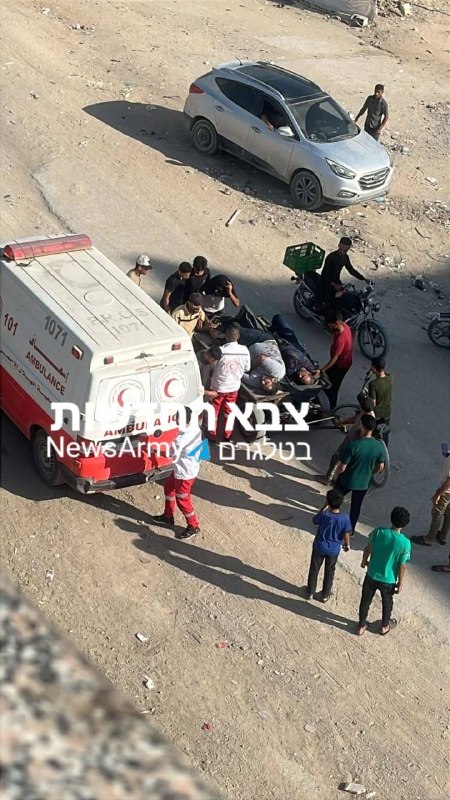 הותקפה חולייה בתל אל הווא דרומית לעיר עזה
