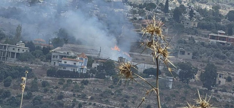 כוחות ישראליים שורפים בתים בטלוסה