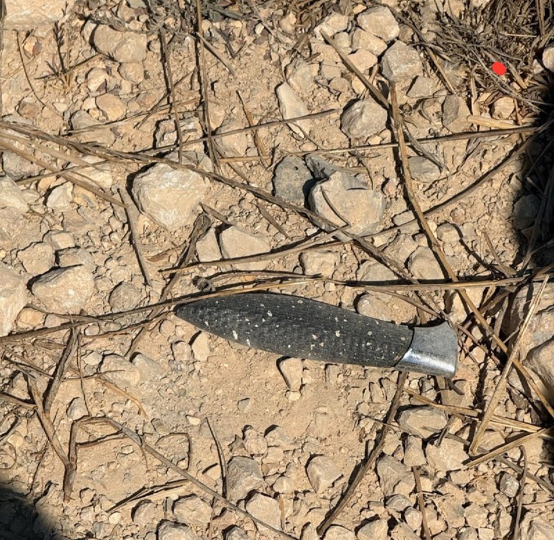 פיגוע דקירה פלסטיני בשומרון: