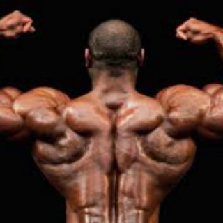 Body Building Programs Telegram Group Link