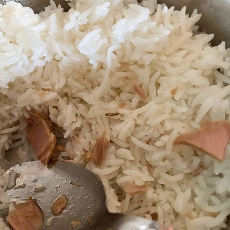 نیستان5: ✅مشاهده کرم در غذای دانشجویان علوم پزشکی اصفهان!بنا بر تصاویر منتشرشده در شبکههای اجتماعی، روز گذشته در غذای دانشجویان