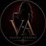 Vᴇʟᴠᴇᴛ Aɴᴀᴛᴏᴍʏ
