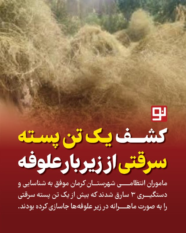 کرمان نو: 🔸کشف بیش از یک تن پسته سرقتی زیر علوفه در کرمان🔹فرمانده انتظامی شهرستان کرمان از دستگیری ۳ سارق و کشف بیش از یک تن پسته 