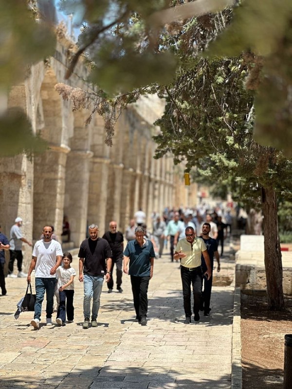רשת חדשות ירושלים