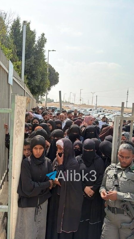 מספר רב של ערבים בתוך פלסטין משתתפים בבחירות הנוכחיות
