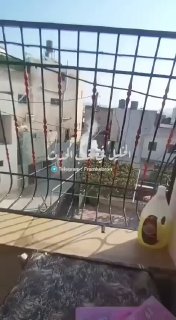 כוחות ישראל יורים פצצות גז במהלך הסתערותם על העיירה תפוח בחברון