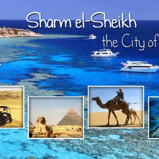 Sharm El Sheikh Telegram Group Link