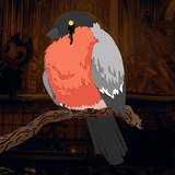 The Bullfinch Team