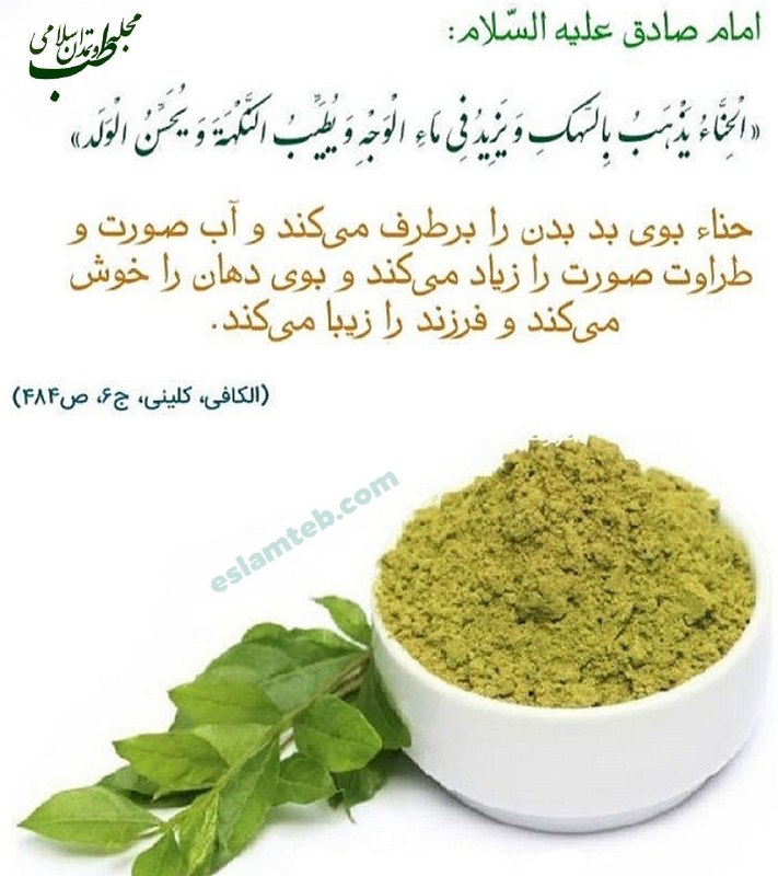 مجله طب و تمدن اسلامی: 🕌پیامبر اکرم صلّی الله علیه وآله:🌺حــنــا چهارده ویژگی دارد👇👇🌿باد گوش را از بین می برد. 🌿دیده را جلا می بخشد.🌿 سینوس ها