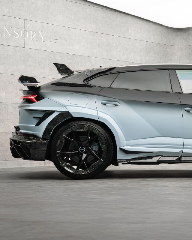 Mansory Venatus EVO S 5